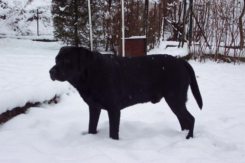 02-022-003 033.jpg